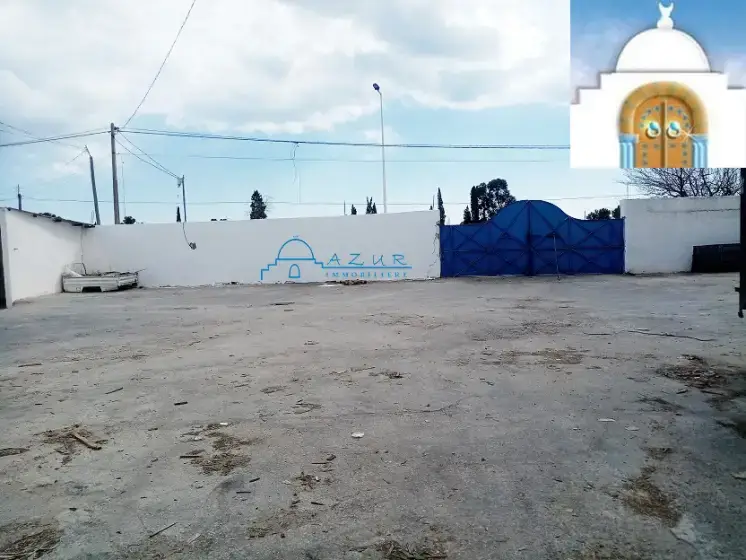 LOCAL BEYEZID 